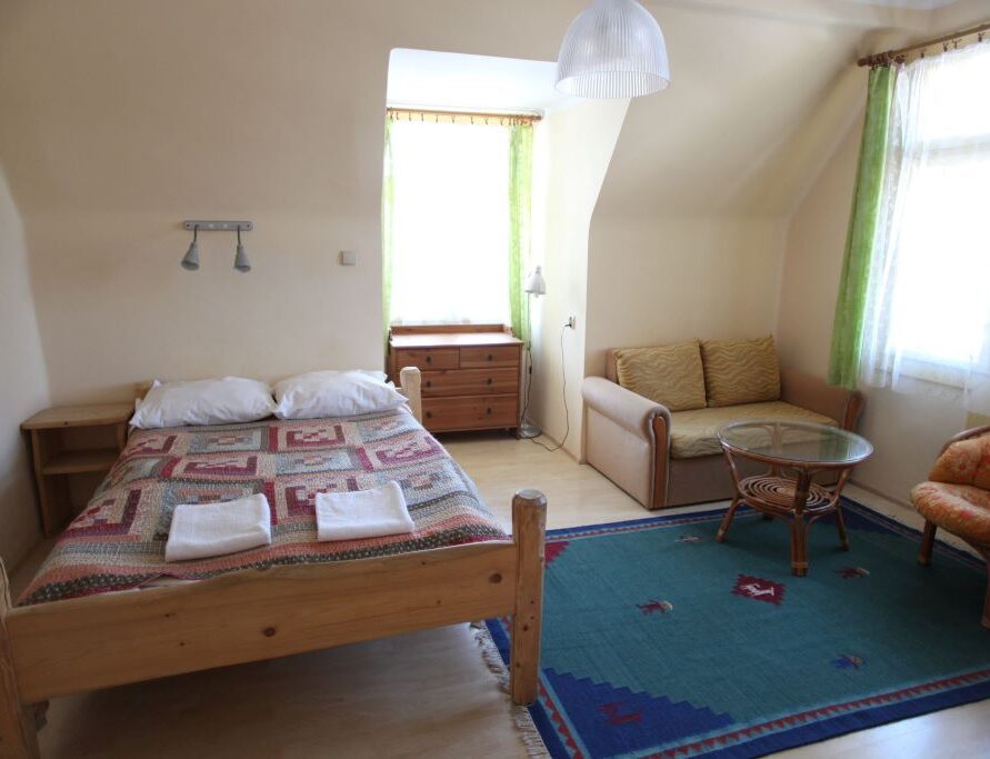 Studio with Kitchen, balcony, bathroom with shower