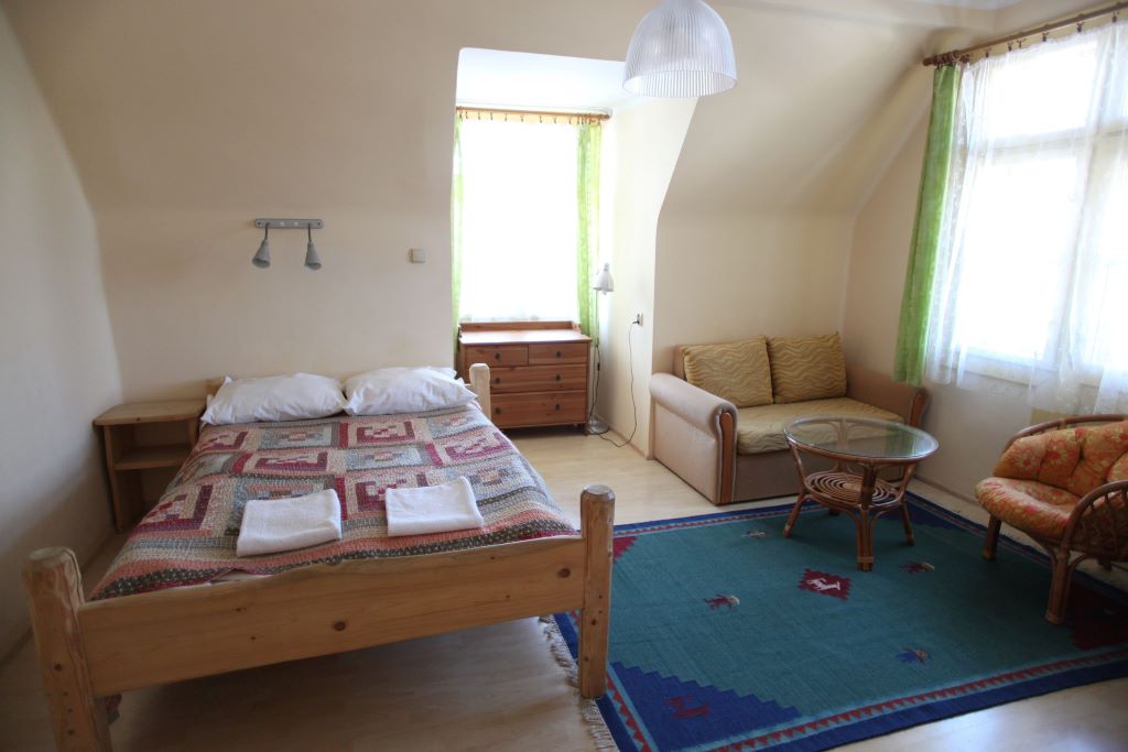 Studio with Kitchen, balcony, bathroom with shower